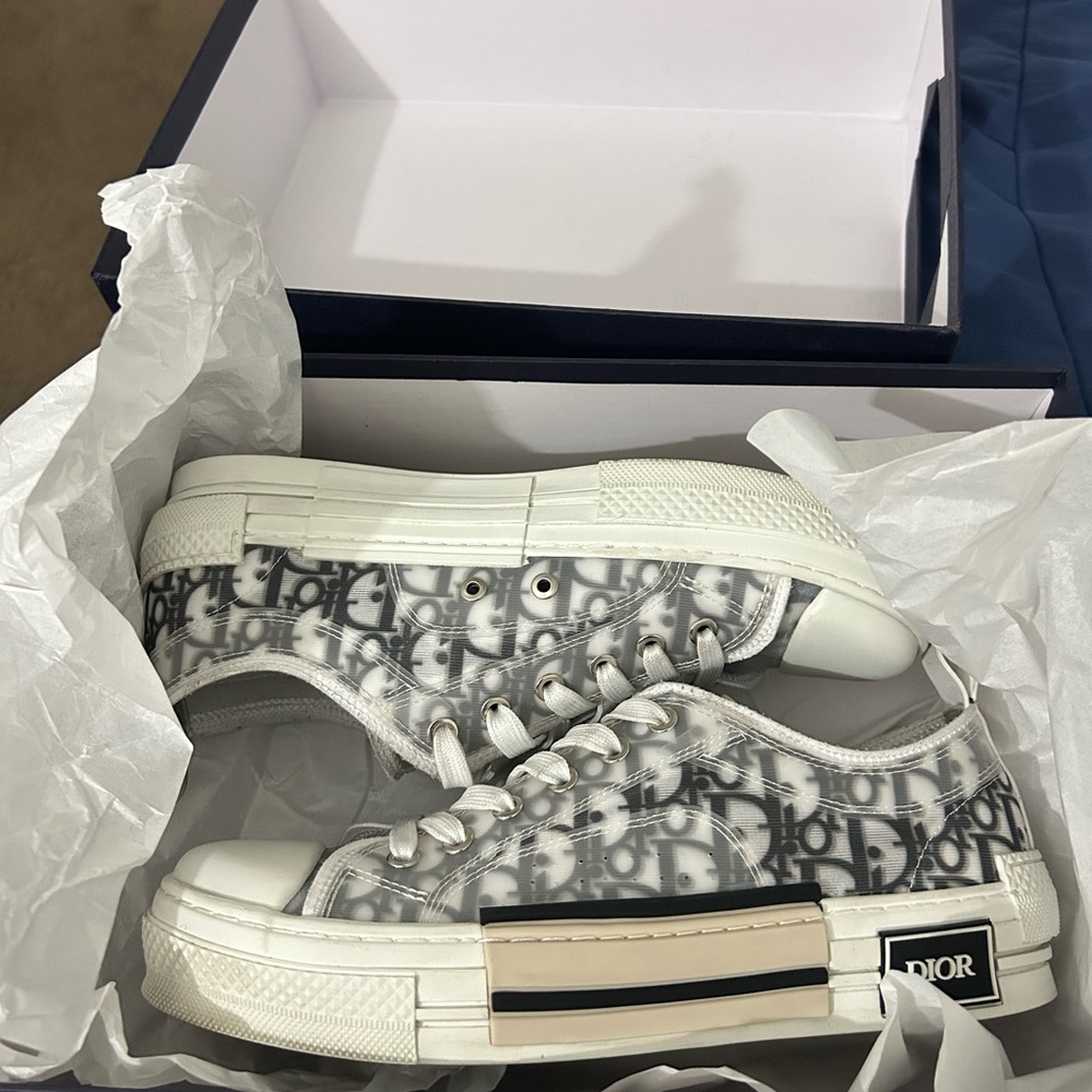 Dior B23 Low Top Snekear